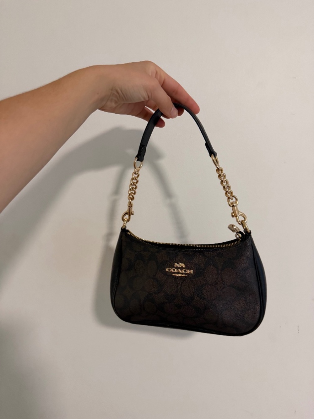 brown black and gold coach purse